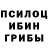 Галлюциногенные грибы мицелий Qaedar Doske