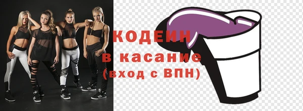 прущие грибы Осинники