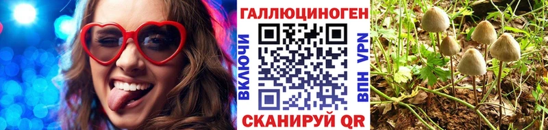 Галлюциногенные грибы ЛСД  Щёлково 